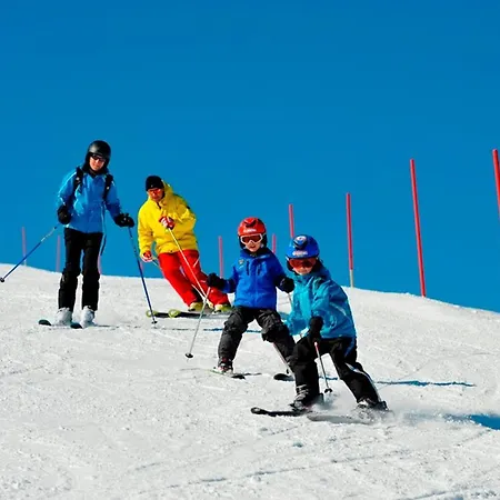 Swiss Heidi Hotel 3*