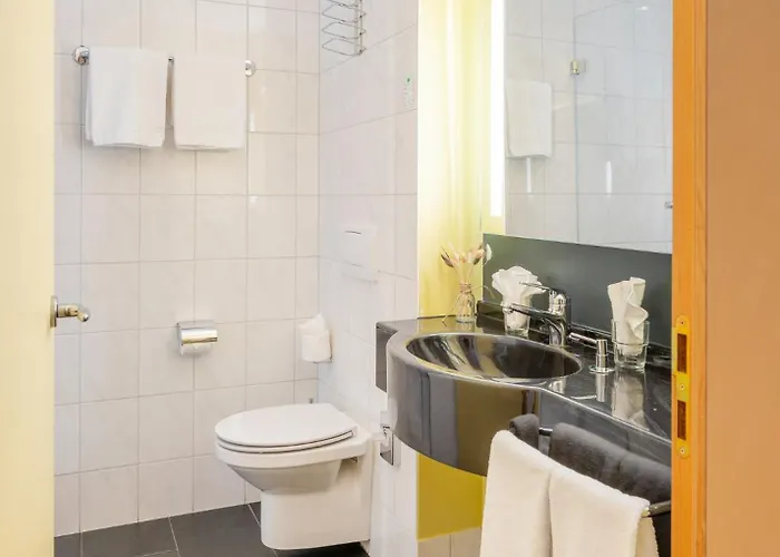 Swiss Heidi מלון 3*